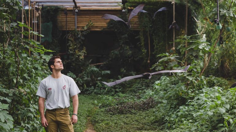 Henry Cavill in Durrell Bat Roost